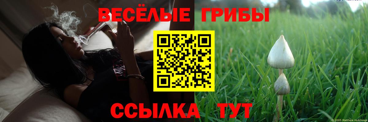 Рославль  цена   Вход с VPN  Галлюциногенные грибы MAGIC MUSHROOMS 
